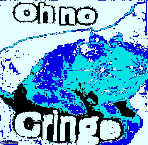 image tagged in oh no cringe cat deep fried | made w/ Imgflip meme maker