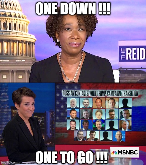 One Down, One To Go,,, |  ONE DOWN !!! ONE TO GO !!! | image tagged in joy reid,rachel maddow,msnbc,fake news | made w/ Imgflip meme maker