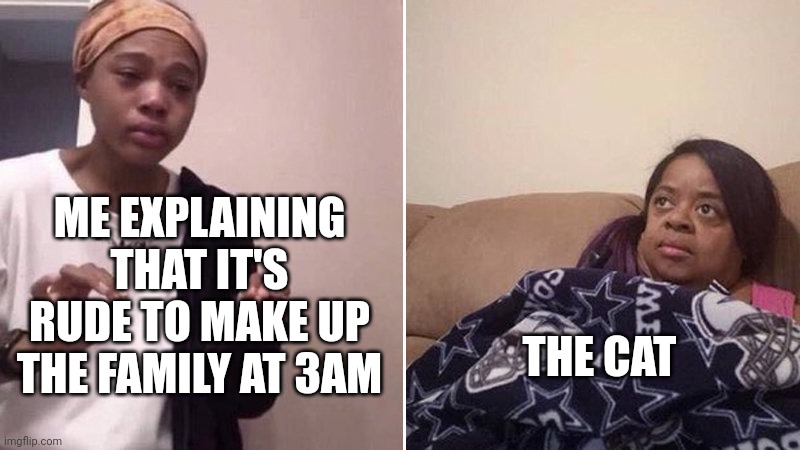 My cat | ME EXPLAINING THAT IT'S RUDE TO MAKE UP THE FAMILY AT 3AM; THE CAT | image tagged in me explaining to my mom | made w/ Imgflip meme maker