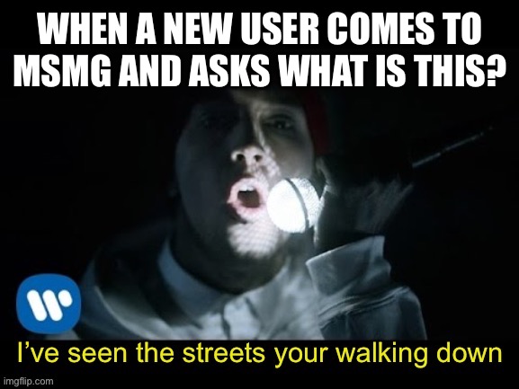 Fairly local | WHEN A NEW USER COMES TO MSMG AND ASKS WHAT IS THIS? | image tagged in fairly local | made w/ Imgflip meme maker
