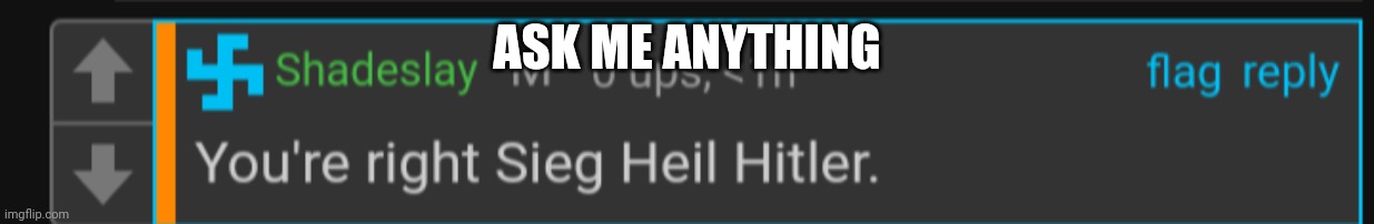 Sieg Heil Hitler | ASK ME ANYTHING | image tagged in sieg heil hitler | made w/ Imgflip meme maker