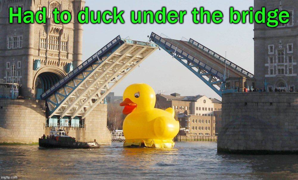 Had to duck under the bridge | image tagged in eye roll | made w/ Imgflip meme maker