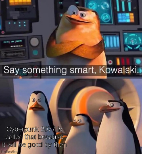 Year 2077 |  Cyberpunk 2077 is called that because it will be good by then | image tagged in say something smart kowalski | made w/ Imgflip meme maker