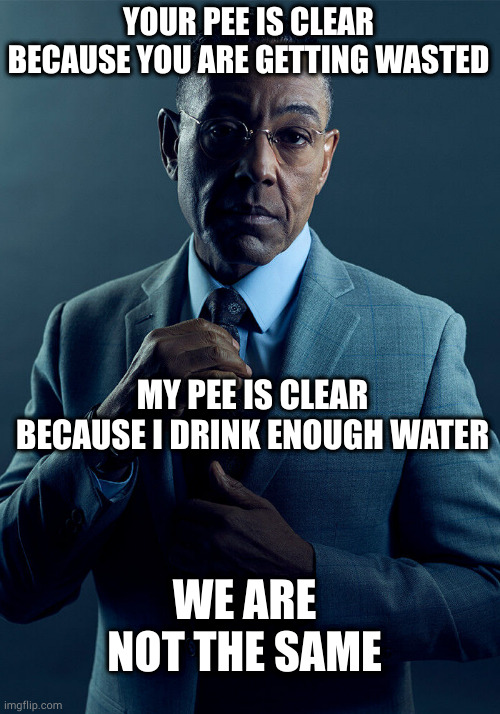 Gus Fring we are not the same | YOUR PEE IS CLEAR BECAUSE YOU ARE GETTING WASTED; MY PEE IS CLEAR BECAUSE I DRINK ENOUGH WATER; WE ARE NOT THE SAME | image tagged in gus fring we are not the same,HydroHomies | made w/ Imgflip meme maker