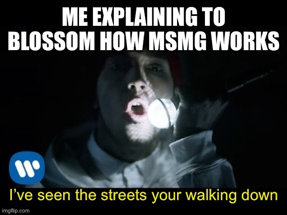 Fairly local | ME EXPLAINING TO BLOSSOM HOW MSMG WORKS | image tagged in fairly local | made w/ Imgflip meme maker