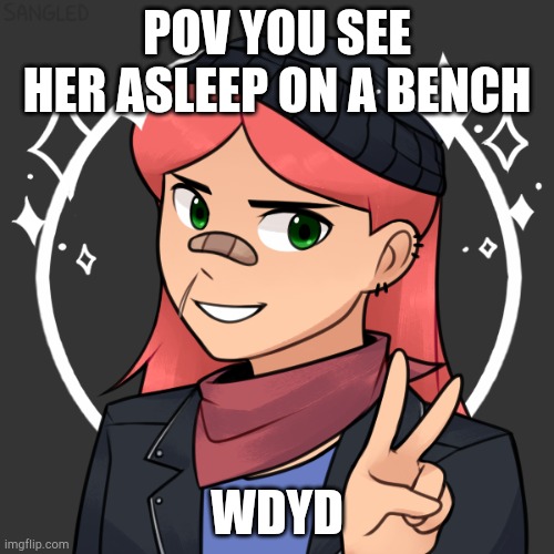 No joke or op ocs, sfw | POV YOU SEE HER ASLEEP ON A BENCH; WDYD | made w/ Imgflip meme maker