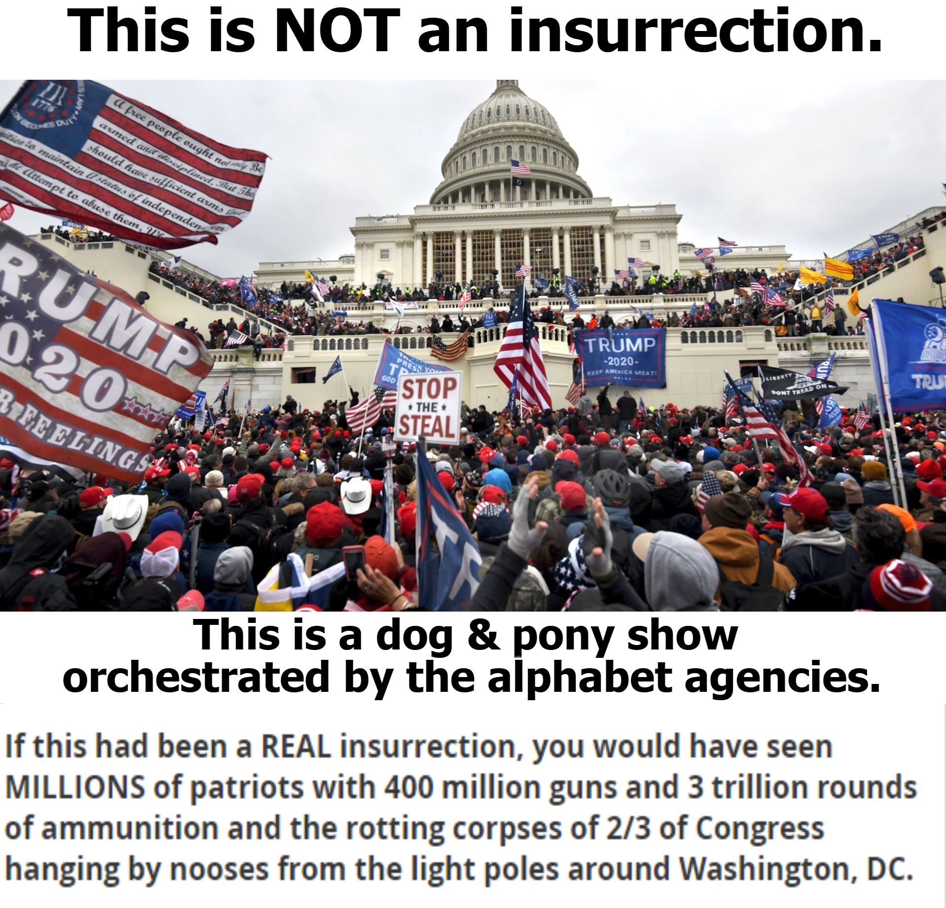 This is NOT an insurrection. | image tagged in insurrection,dog and pony show,false flag,sounds like communist propaganda,crush the commies,tyranny | made w/ Imgflip meme maker