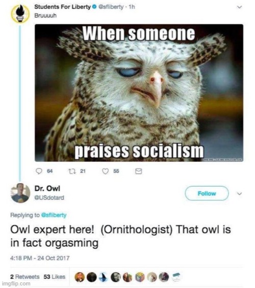 dr. owl | made w/ Imgflip meme maker