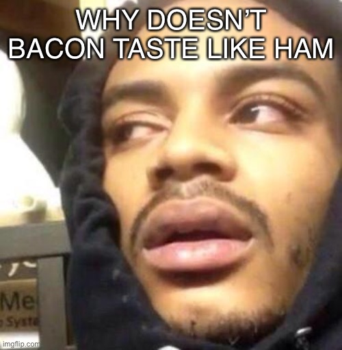 Hits Blunt |  WHY DOESN’T BACON TASTE LIKE HAM | image tagged in hits blunt | made w/ Imgflip meme maker