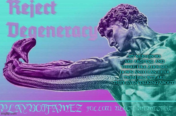 bro what? | MY NEIGHBORS ARE ARGUING AND THERE LIKE 2 HOUSES DOWN AND I CAN HEAR THEM BRO WTF ARE THEY EVEN TALKING ABOUT? | image tagged in reject degeneracy return to the collective | made w/ Imgflip meme maker