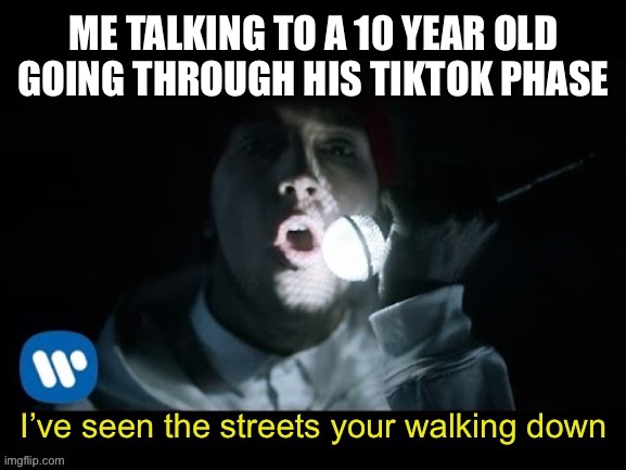 Fairly local | ME TALKING TO A 10 YEAR OLD GOING THROUGH HIS TIKTOK PHASE | image tagged in fairly local | made w/ Imgflip meme maker