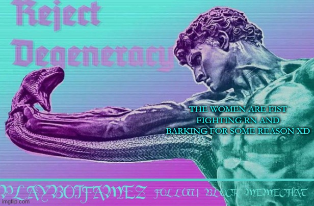 bro they over here SCREECHING XD | THE WOMEN ARE FIST FIGHTING RN AND BARKING FOR SOME REASON XD | image tagged in reject degeneracy return to the collective | made w/ Imgflip meme maker