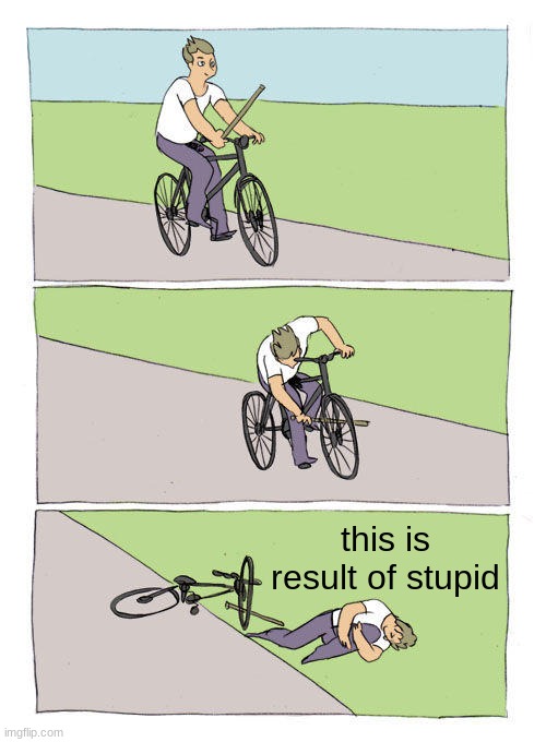 Bike Fall | this is result of stupid | image tagged in memes,bike fall | made w/ Imgflip meme maker