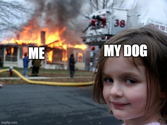My dog |  ME; MY DOG | image tagged in memes,disaster girl | made w/ Imgflip meme maker