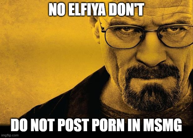Breaking Ass | NO ELFIYA DON'T; DO NOT POST PORN IN MSMG | made w/ Imgflip meme maker