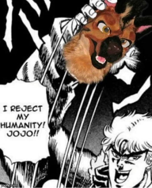 someone post this in furry stream | made w/ Imgflip meme maker
