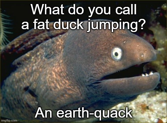 Image Title |  What do you call a fat duck jumping? An earth-quack | image tagged in memes,title,bad joke eel,duck,quack,earthquake | made w/ Imgflip meme maker