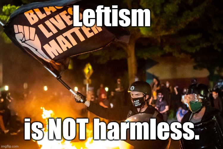 democrats being democrats | Leftism is NOT harmless. | image tagged in democrats being democrats | made w/ Imgflip meme maker