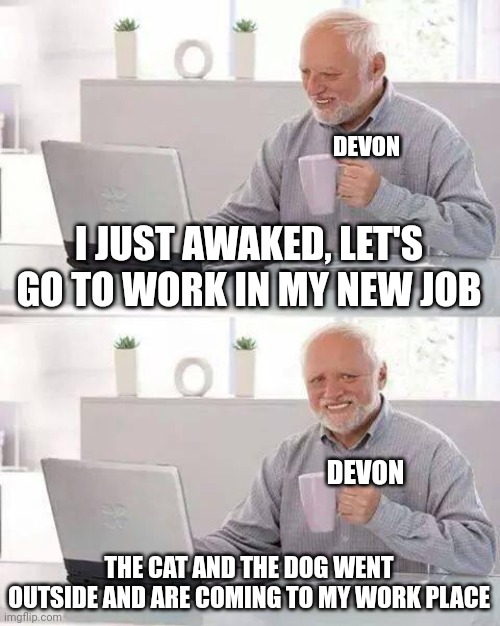 pur devon | DEVON; I JUST AWAKED, LET'S GO TO WORK IN MY NEW JOB; DEVON; THE CAT AND THE DOG WENT OUTSIDE AND ARE COMING TO MY WORK PLACE | image tagged in memes,hide the pain harold | made w/ Imgflip meme maker