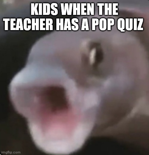 Poggers Fish | KIDS WHEN THE TEACHER HAS A POP QUIZ | image tagged in poggers fish | made w/ Imgflip meme maker