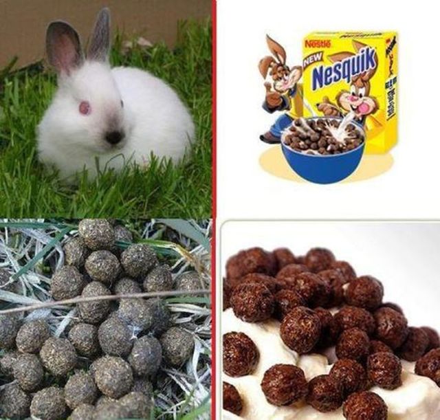 High Quality That one thing Blank Meme Template