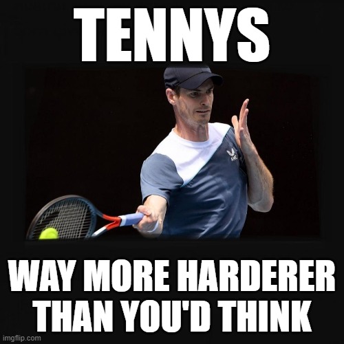 Tennis | TENNYS; WAY MORE HARDERER THAN YOU'D THINK | image tagged in tennis | made w/ Imgflip meme maker