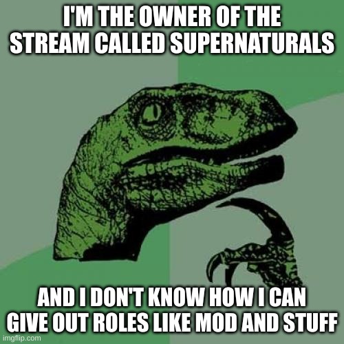 it might be the platform i'm using, but idk | I'M THE OWNER OF THE STREAM CALLED SUPERNATURALS; AND I DON'T KNOW HOW I CAN GIVE OUT ROLES LIKE MOD AND STUFF | image tagged in memes,philosoraptor | made w/ Imgflip meme maker