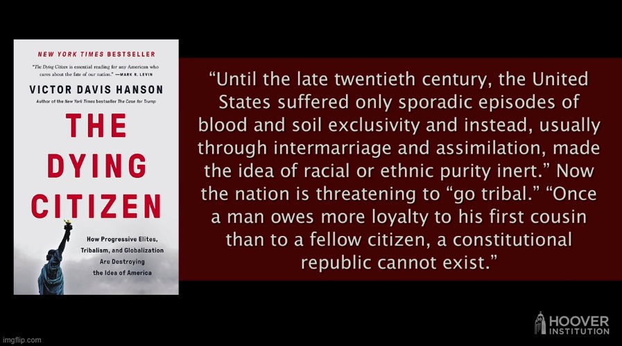 Citizen vs Tribal Loyalty | image tagged in citizen,republic,victor davis hanson,the dying citizen,tribalism,loyalty | made w/ Imgflip meme maker