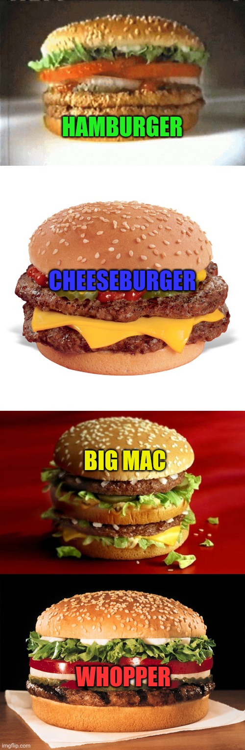The 4 food groups | HAMBURGER CHEESEBURGER BIG MAC WHOPPER | image tagged in cheeseburger,big mac,whopper,hamburger,balanced,diet | made w/ Imgflip meme maker