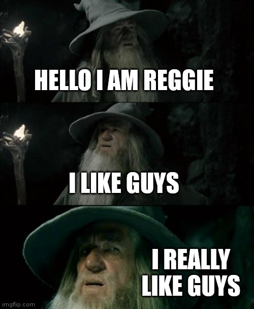 Confused Gandalf | HELLO I AM REGGIE; I LIKE GUYS; I REALLY LIKE GUYS | image tagged in memes,confused gandalf | made w/ Imgflip meme maker