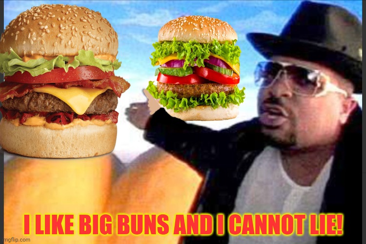 American problems | I LIKE BIG BUNS AND I CANNOT LIE! | image tagged in i like big butts and i can not lie,america,hamburger,cheeseburger,big mac whopper | made w/ Imgflip meme maker