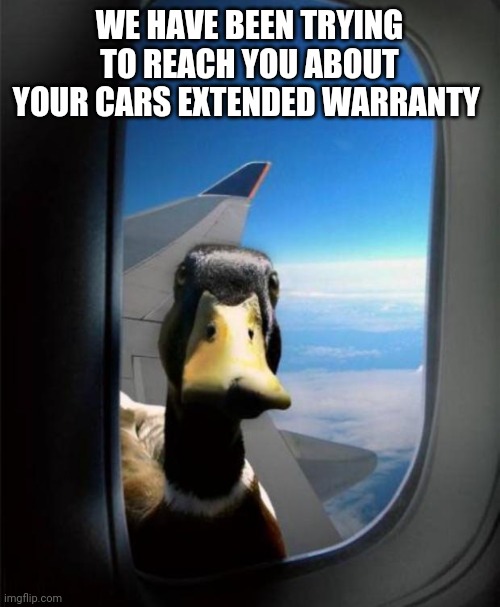 Duck on plane wing | WE HAVE BEEN TRYING TO REACH YOU ABOUT YOUR CARS EXTENDED WARRANTY | image tagged in duck on plane wing | made w/ Imgflip meme maker