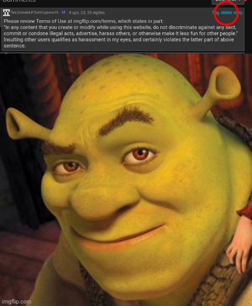 hmmm | image tagged in shrek sexy face | made w/ Imgflip meme maker