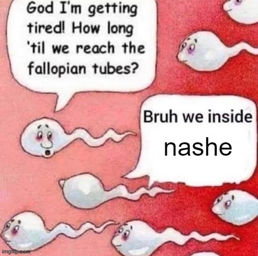 nashe | made w/ Imgflip meme maker