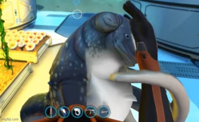 fish | made w/ Imgflip meme maker