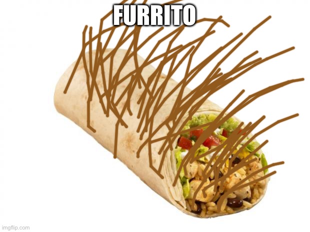 furrito | FURRITO | image tagged in burrito,hair,hairy | made w/ Imgflip meme maker
