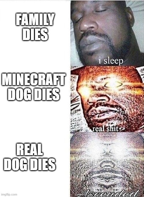 i sleep, REAL SHIT ,ASCENDED | FAMILY DIES; MINECRAFT DOG DIES; REAL DOG DIES | image tagged in i sleep real shit ascended | made w/ Imgflip meme maker