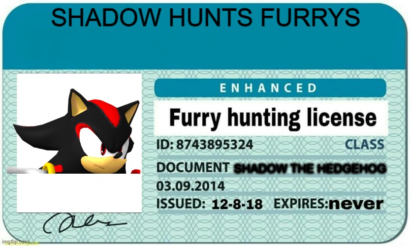 furry hunting license | SHADOW HUNTS FURRYS; SHADOW THE HEDGEHOG | image tagged in furry hunting license | made w/ Imgflip meme maker