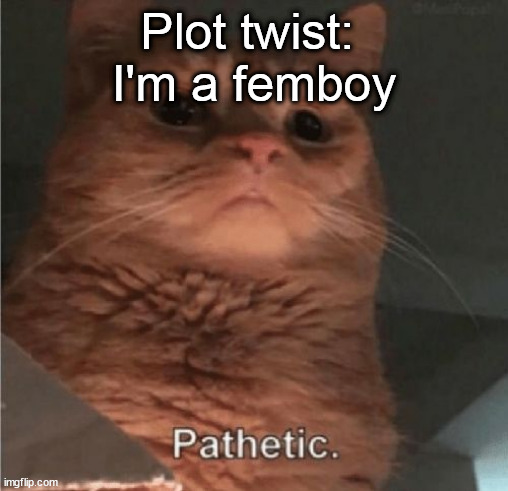 Pathetic Cat | Plot twist: 
I'm a femboy | image tagged in pathetic cat | made w/ Imgflip meme maker