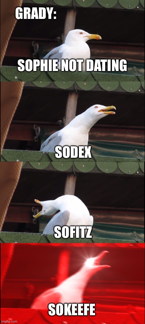 Inhaling Seagull | GRADY:; SOPHIE NOT DATING; SODEX; SOFITZ; SOKEEFE | image tagged in memes,inhaling seagull,keeper of the lost cities,kotlc | made w/ Imgflip meme maker