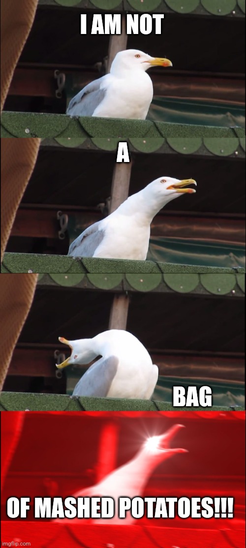 I am not a bag of mashed potatos | I AM NOT; A; BAG; OF MASHED POTATOES!!! | image tagged in memes,inhaling seagull,potato | made w/ Imgflip meme maker