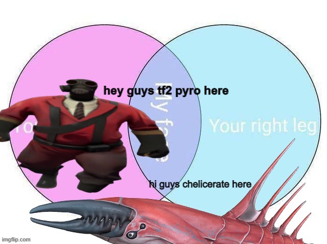 hey guys tf2 pyro here | made w/ Imgflip meme maker