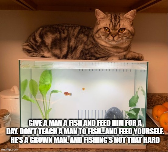 GIVE A MAN A FISH AND FEED HIM FOR A DAY. DON’T TEACH A MAN TO FISH…AND FEED YOURSELF. HE’S A GROWN MAN. AND FISHING’S NOT THAT HARD | made w/ Imgflip meme maker