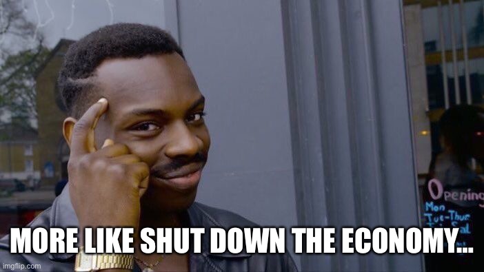 Roll Safe Think About It Meme | MORE LIKE SHUT DOWN THE ECONOMY… | image tagged in memes,roll safe think about it | made w/ Imgflip meme maker