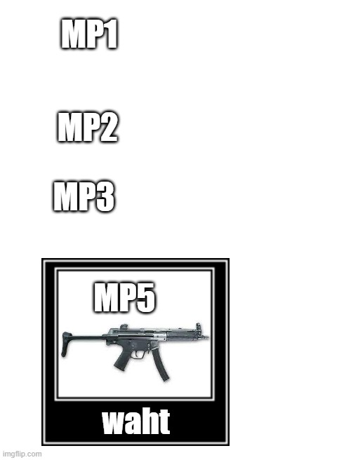 mp5 is a gun | MP1; MP2; MP3; MP5; waht | image tagged in blank white template | made w/ Imgflip meme maker
