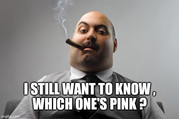 Scumbag Boss Meme | I STILL WANT TO KNOW ,
WHICH ONE'S PINK ? | image tagged in memes,scumbag boss | made w/ Imgflip meme maker
