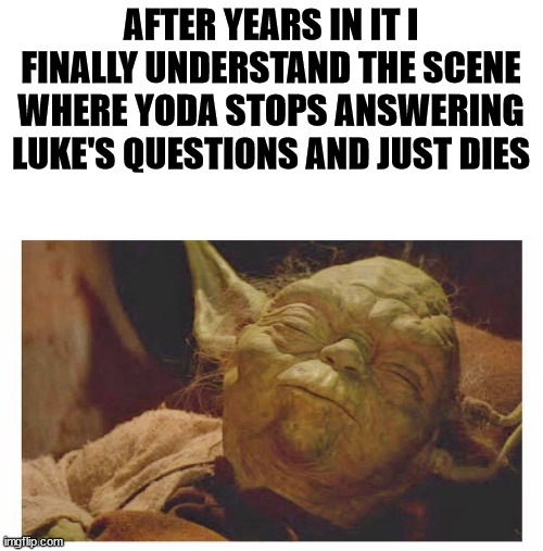 Working In I.T. | AFTER YEARS IN IT I FINALLY UNDERSTAND THE SCENE WHERE YODA STOPS ANSWERING LUKE'S QUESTIONS AND JUST DIES | image tagged in star wars yoda | made w/ Imgflip meme maker