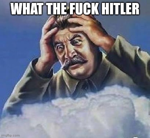 Worrying Stalin | WHAT THE FUCK HITLER | image tagged in worrying stalin | made w/ Imgflip meme maker