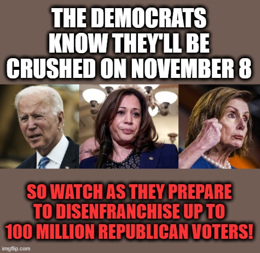 They won't accept responsibility for their epic failures, so they won't allow a fair election! | THE DEMOCRATS KNOW THEY'LL BE CRUSHED ON NOVEMBER 8; SO WATCH AS THEY PREPARE TO DISENFRANCHISE UP TO 100 MILLION REPUBLICAN VOTERS! | image tagged in memes,democrats,election 2022,republicans,joe biden | made w/ Imgflip meme maker