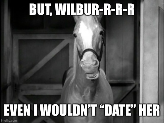 Mr. Ed | BUT, WILBUR-R-R-R EVEN I WOULDN’T “DATE” HER | image tagged in mr ed | made w/ Imgflip meme maker